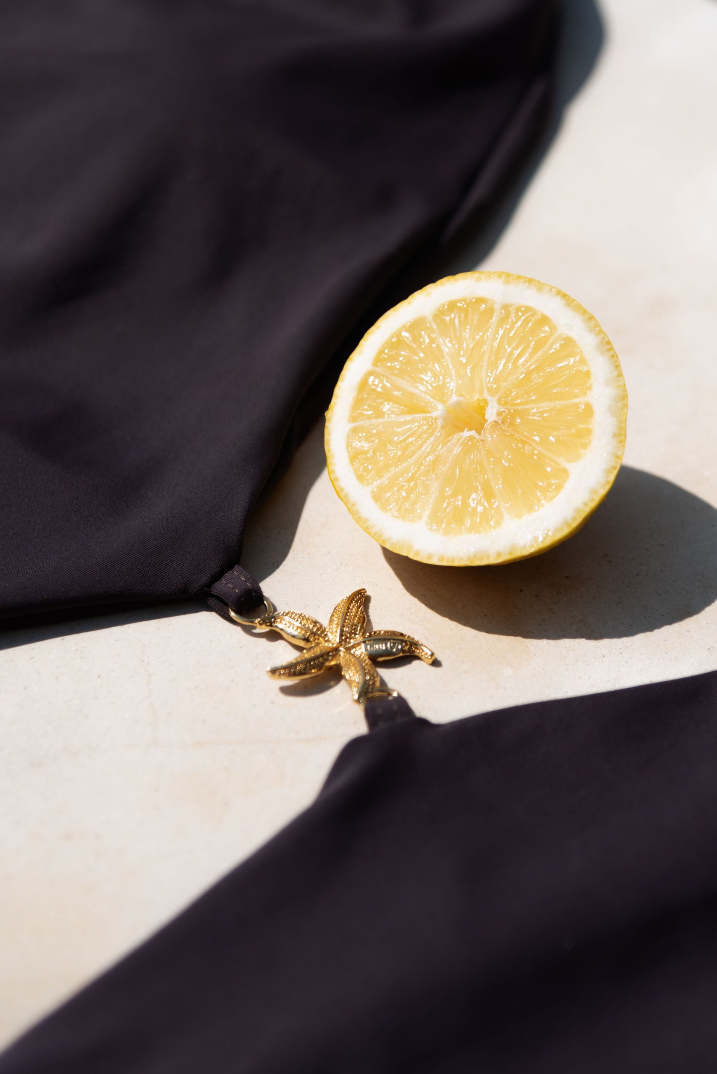 ONE PIECE ESTRELLA DE MAR CAFÉ